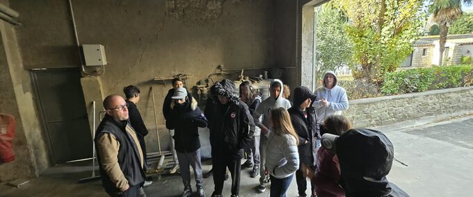 WhatsApp Image 2025-11-29 at 10.49.38.jpeg